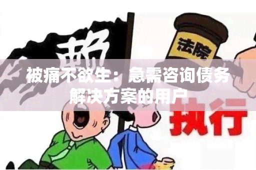 被痛不欲生：急需咨询债务解决方案的用户