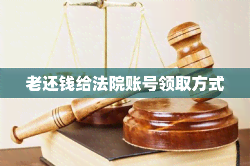 老还钱给法院账号领取方式