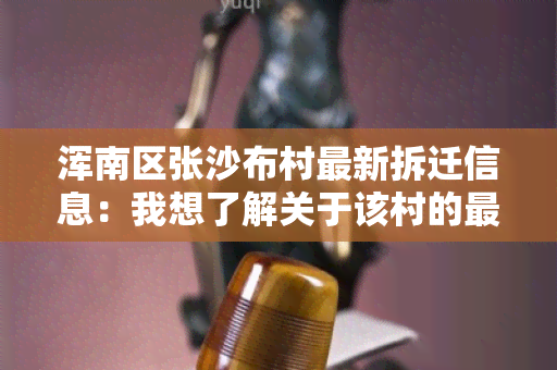 浑南区张沙布村最新拆迁信息：我想了解关于该村的最新拆迁进展情况