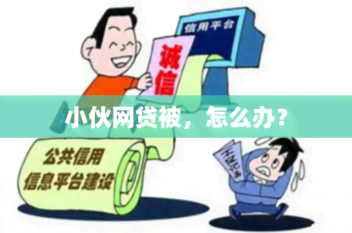 小伙网贷被，怎么办？