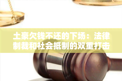 土豪欠钱不还的下场：法律制裁和社会 *** 的双重打击