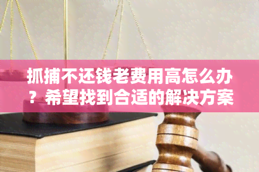 不还钱老费用高怎么办？希望找到合适的解决方案