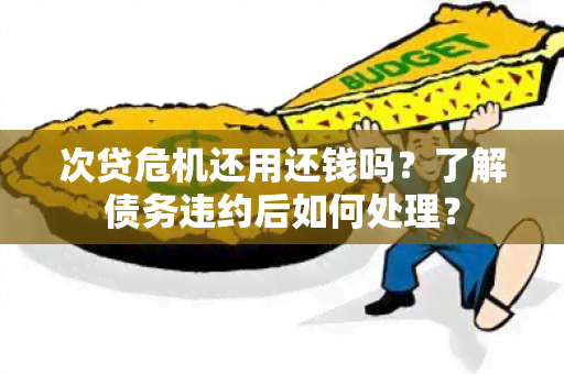 次贷危机还用还钱吗？了解债务违约后如何处理？