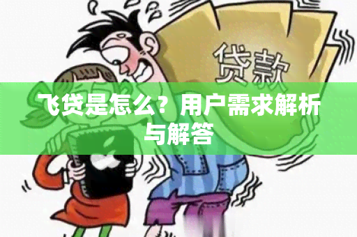 飞贷是怎么？用户需求解析与解答