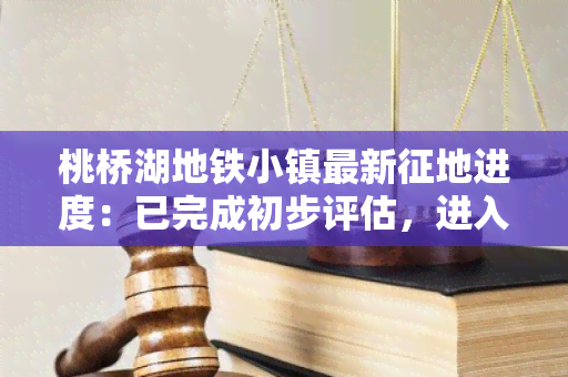 桃桥湖地铁小镇最新征地进度：已完成初步评估，进入谈判阶