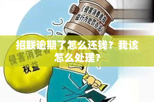 招联逾期了怎么还钱？我该怎么处理？