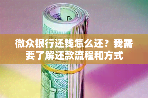 微众银行还钱怎么还？我需要了解还款流程和方式