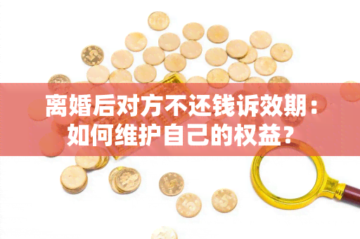 离婚后对方不还钱诉效期：如何维护自己的权益？