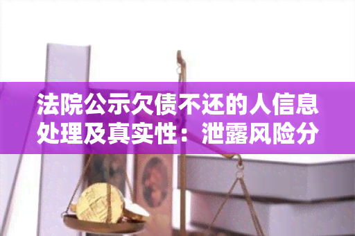 法院公示欠债不还的人信息处理及真实性：泄露风险分析