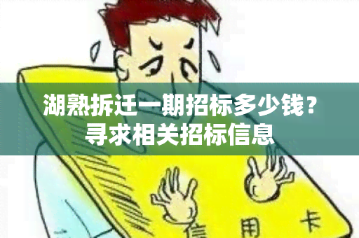 湖熟拆迁一期招标多少钱？寻求相关招标信息