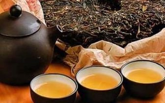 普洱白茶和福鼎白茶的区别-普洱白茶和福鼎白茶的区别是什么