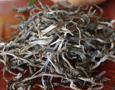 普洱古树白茶的功效与作用-普洱古树白茶的功效与作用及禁忌