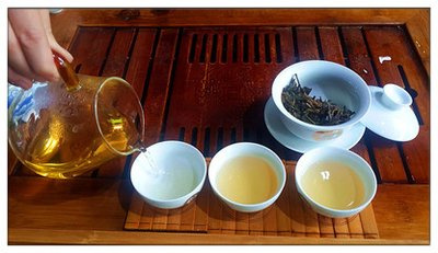 普洱茶白茶是生茶还是熟茶-普洱茶白茶是生茶还是熟茶好