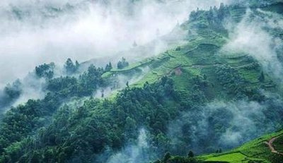 勐海主要普洱茶产区是哪里-勐海主要普洱茶产区是哪里的