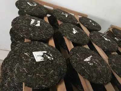 普洱茶4个产区在哪里啊-普洱茶4个产区在哪里啊图片