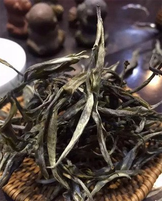 普洱古树白茶是什么茶种的-普洱古树白茶是什么茶种的好