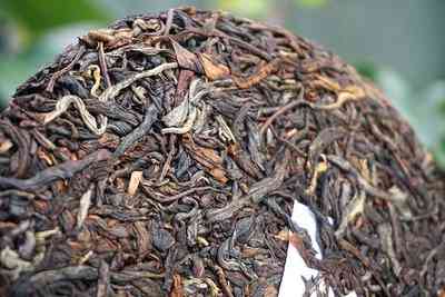 景谷大白茶和普洱茶的区别-景谷大白茶和普洱茶的区别是什么