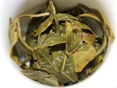 景谷普洱茶大白茶口感特点-景谷大白茶是普洱茶吗