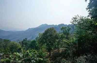 三明普洱茶生产基地地址-三明普洱茶生产基地地址在哪里