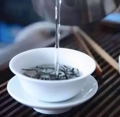 马台山普洱茶