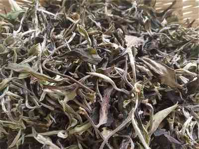 普洱古树白茶是什么茶类的-普洱古树白茶是什么茶类的一种