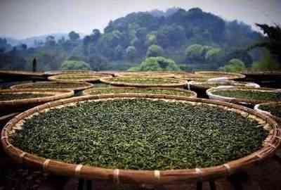 普洱老白茶用什么茶壶好-普洱老白茶用什么茶壶好喝