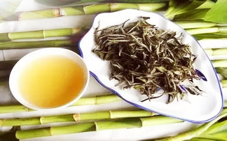 绿茶用白茶工艺好吗？