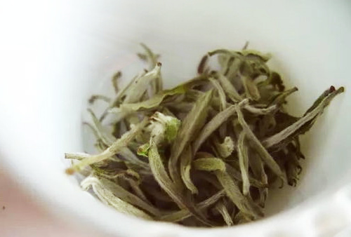 白茶精油是骗人的吗？作用、护肤、味道及调配详解