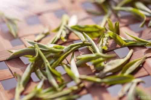 阿七哥白茶安吉：一种独特的茶叶，带来美味与健