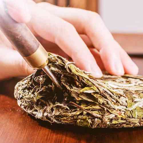 福鼎白茶产茶园及茶场位置分布