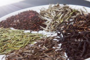 济古树白茶种类介绍价格及图片
