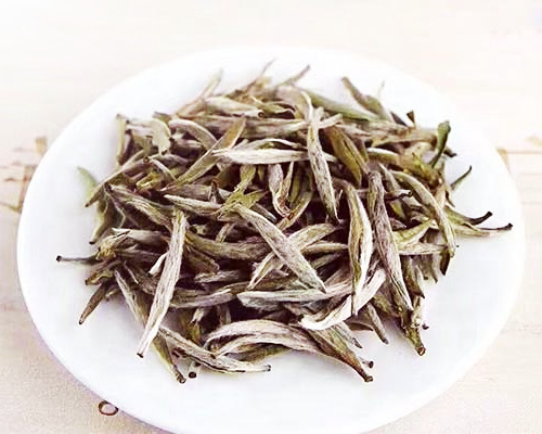青苔老枞水仙茶树图片