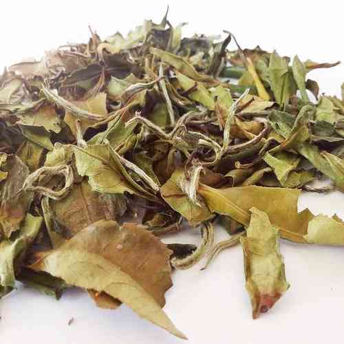 泰安白茶茶饼种类大全价格及图片