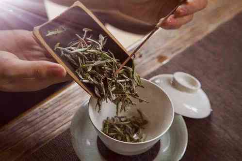 陈年福鼎白茶茶饼能喝吗，有吗，怎么喝？