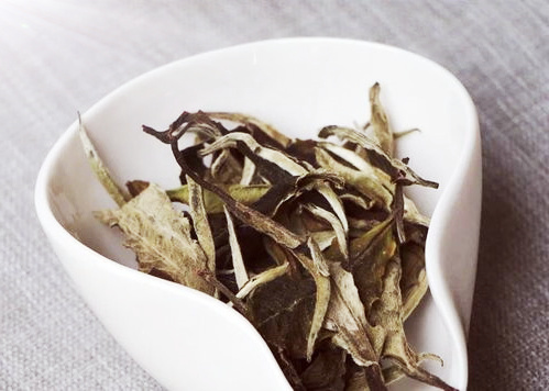 溪口高山茶白茶多少钱一斤，价格与功效