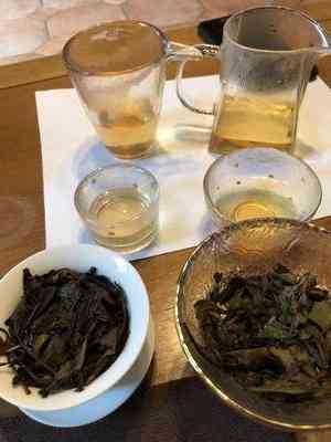 怎么看福鼎白茶工艺真假及辨别质量