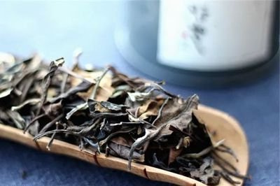 福鼎白茶品类特点及品质特征介绍