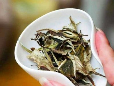 三鼎白茶有什么品种