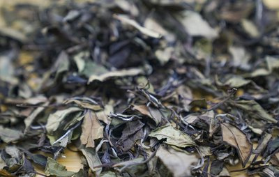 2018年中茶陈皮白茶的价格、功效和作用查询