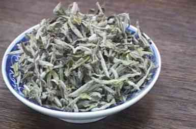 白毫银针为什么有茉莉花香味及其原因