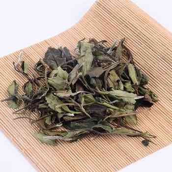 福鼎老白茶古树及其茶饼价格