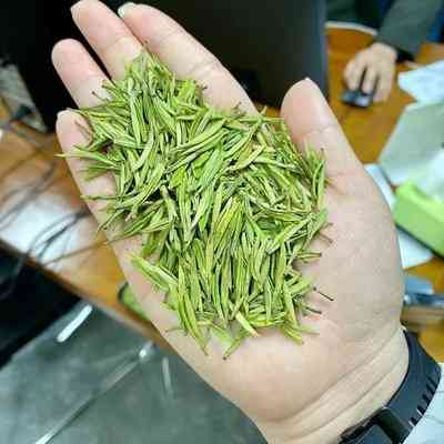 福鼎白茶白露茶饼价格大白毫特点及冲泡方法