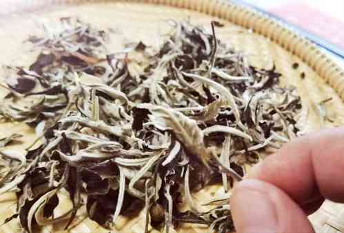 福鼎白茶冲泡茶水比