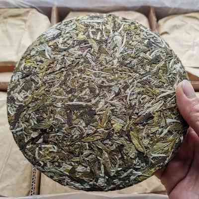 福鼎白茶350g