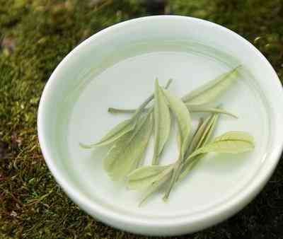 福鼎四野白茶价格