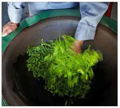 福鼎白茶饼怎么拆分