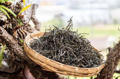 普洱茶存放多久最适宜？生普洱茶需几年才能达到更佳口感？