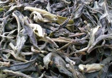 云南景谷大白茶：茶种、公司及是否属于普洱茶全解