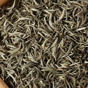 深入了解古树普洱茶制作工艺：流程、步骤与特点