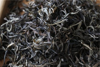 普洱与白茶的存储方法对比：有何异同？